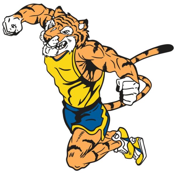 AR9 TIGER TRK RQC Thumbnail