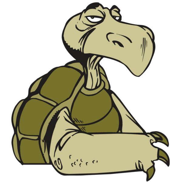 AR5 Turtle 01 RQC Thumbnail